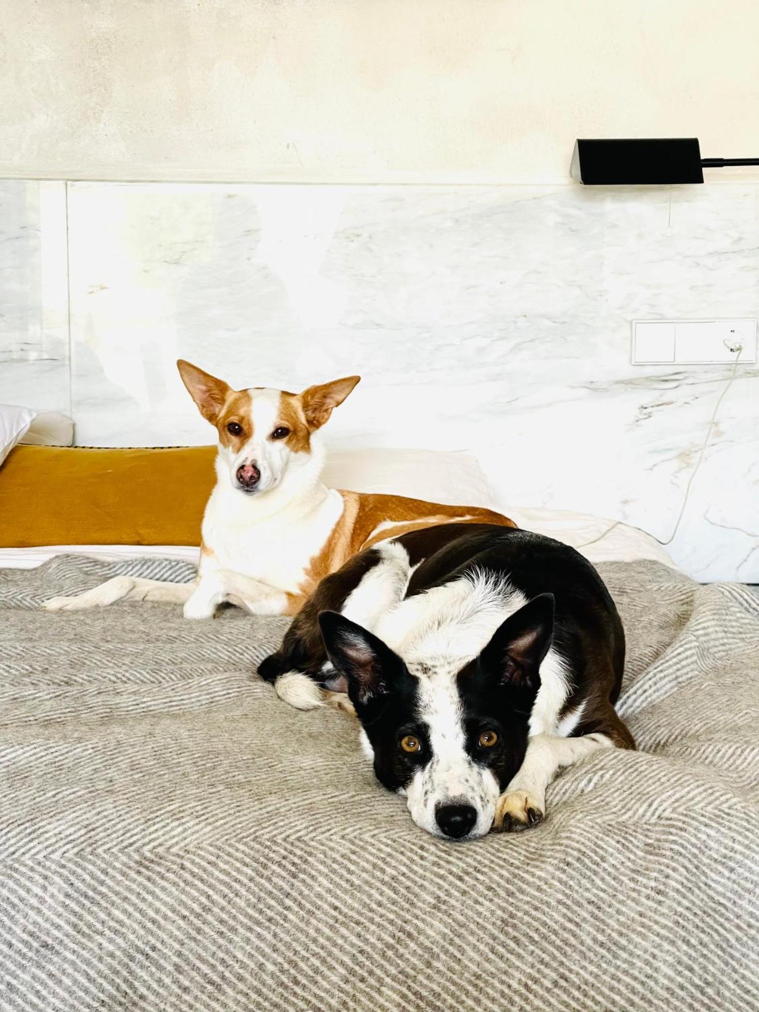 Uma Casa Em Entradas Guesthouse Ngoại thất bức ảnh